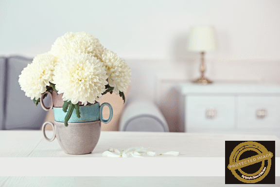 PlannedGiving_Flowers2